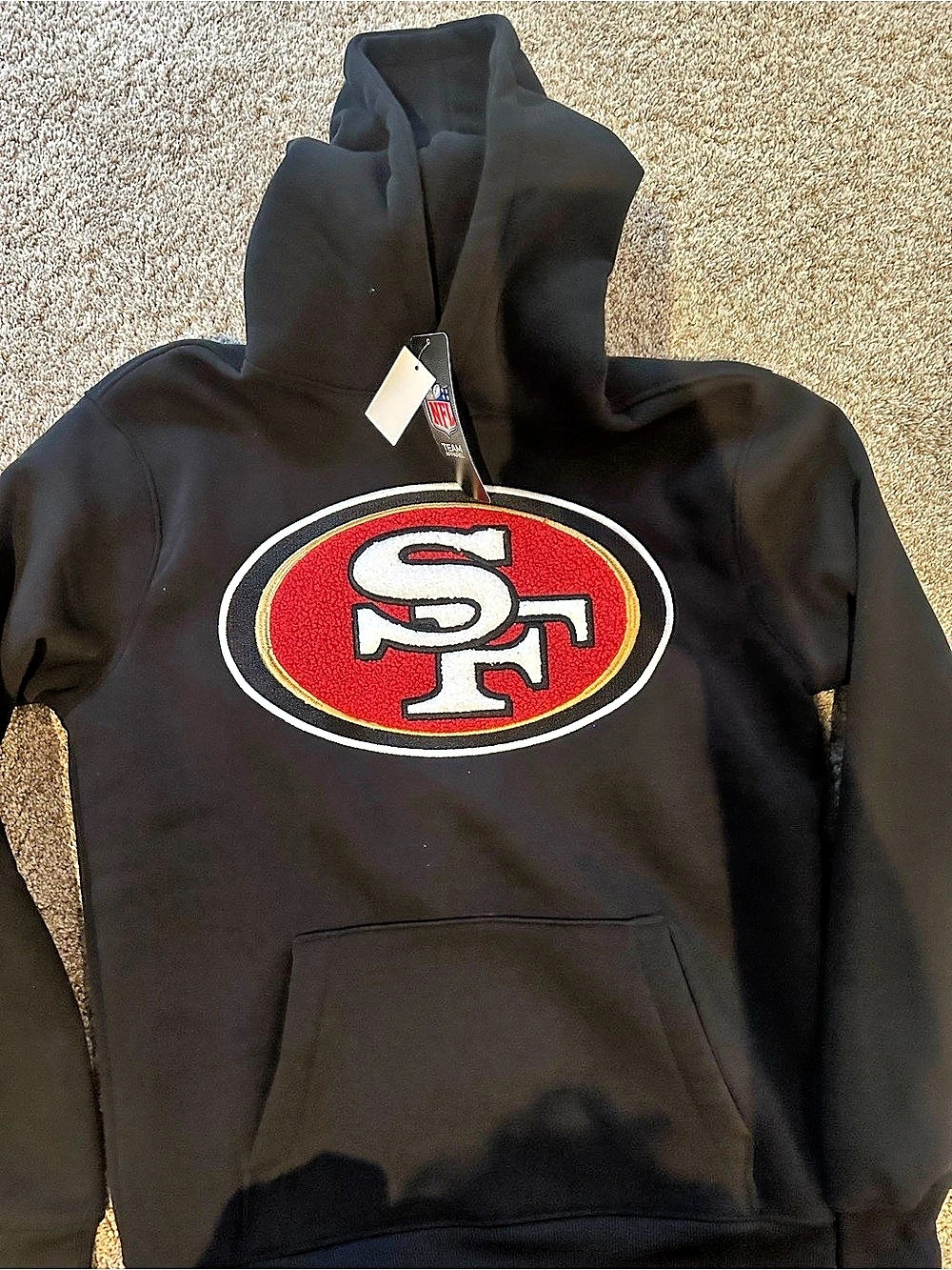 Pro Standard San Francisco 49ers Classic Chenille Pullover Hoodie